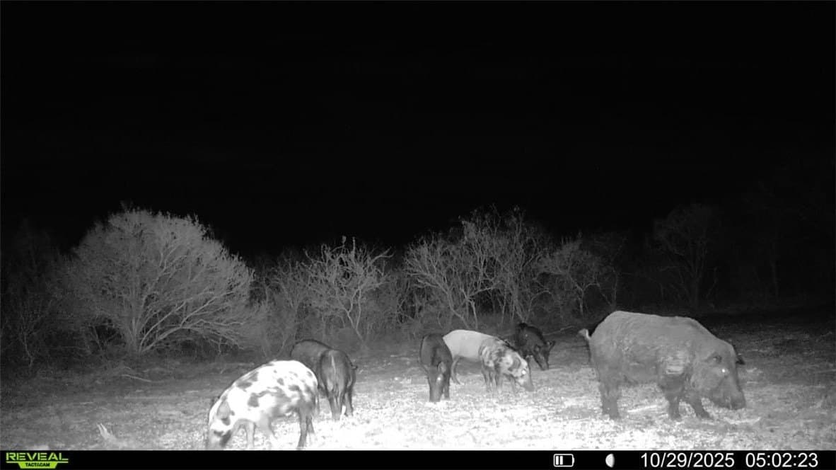 30 acres in Wilson County - photo 36