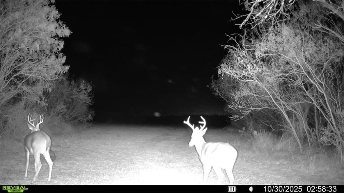 30 acres in Wilson County - photo 22