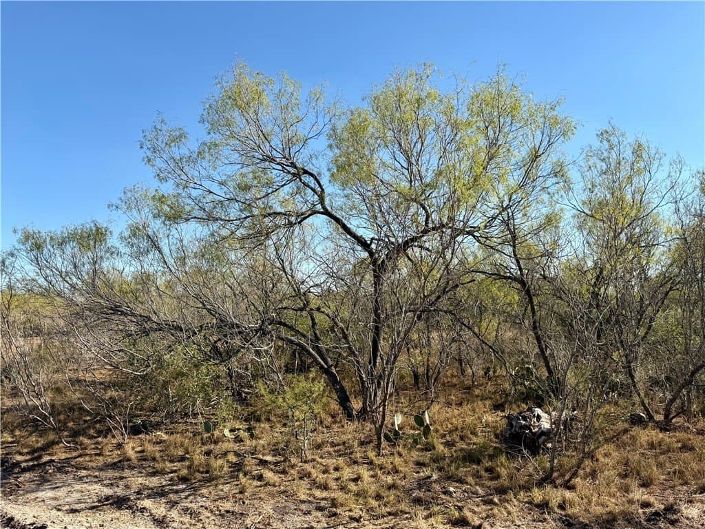 30 acres in Wilson County - photo 16