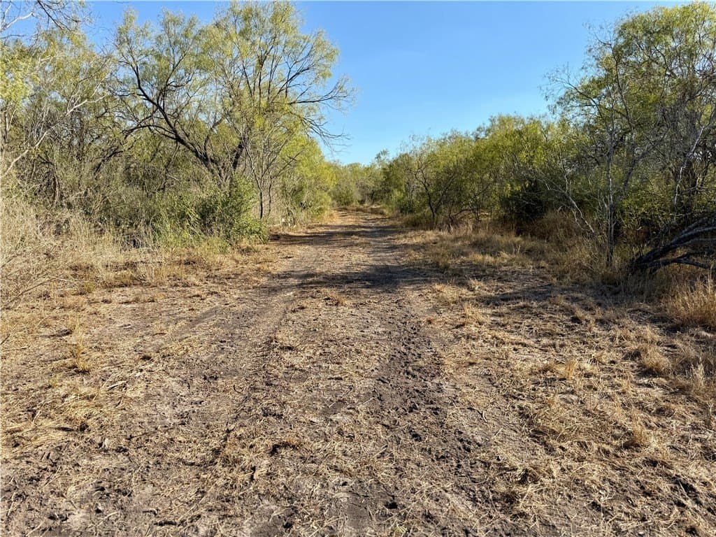 30 acres in Wilson County - photo 18