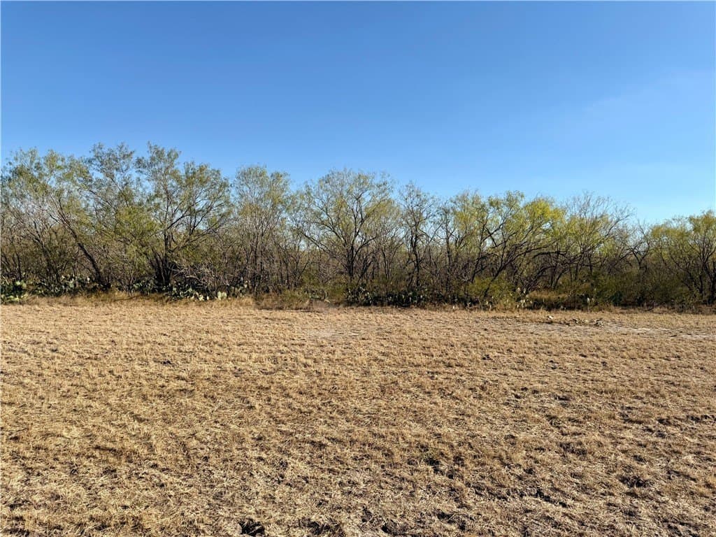 30 acres in Wilson County - photo 33