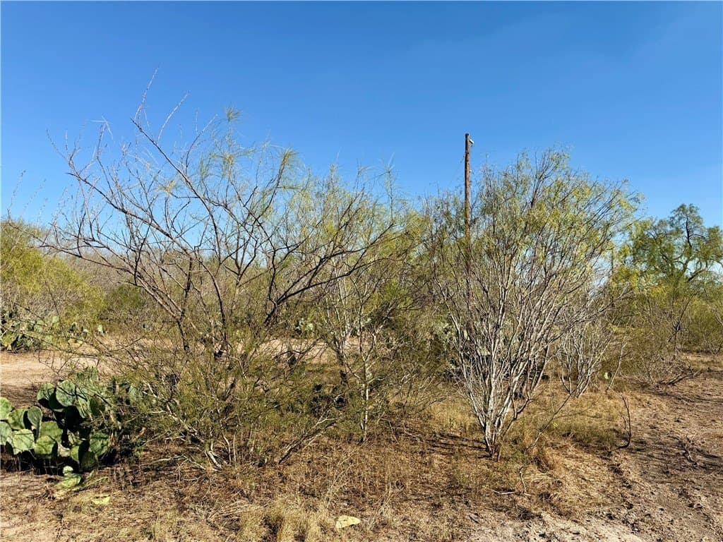 30 acres in Wilson County - photo 10