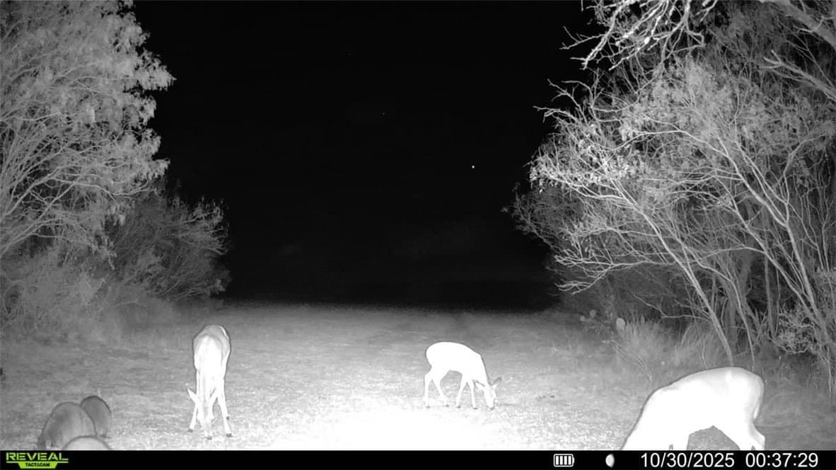30 acres in Wilson County - photo 37