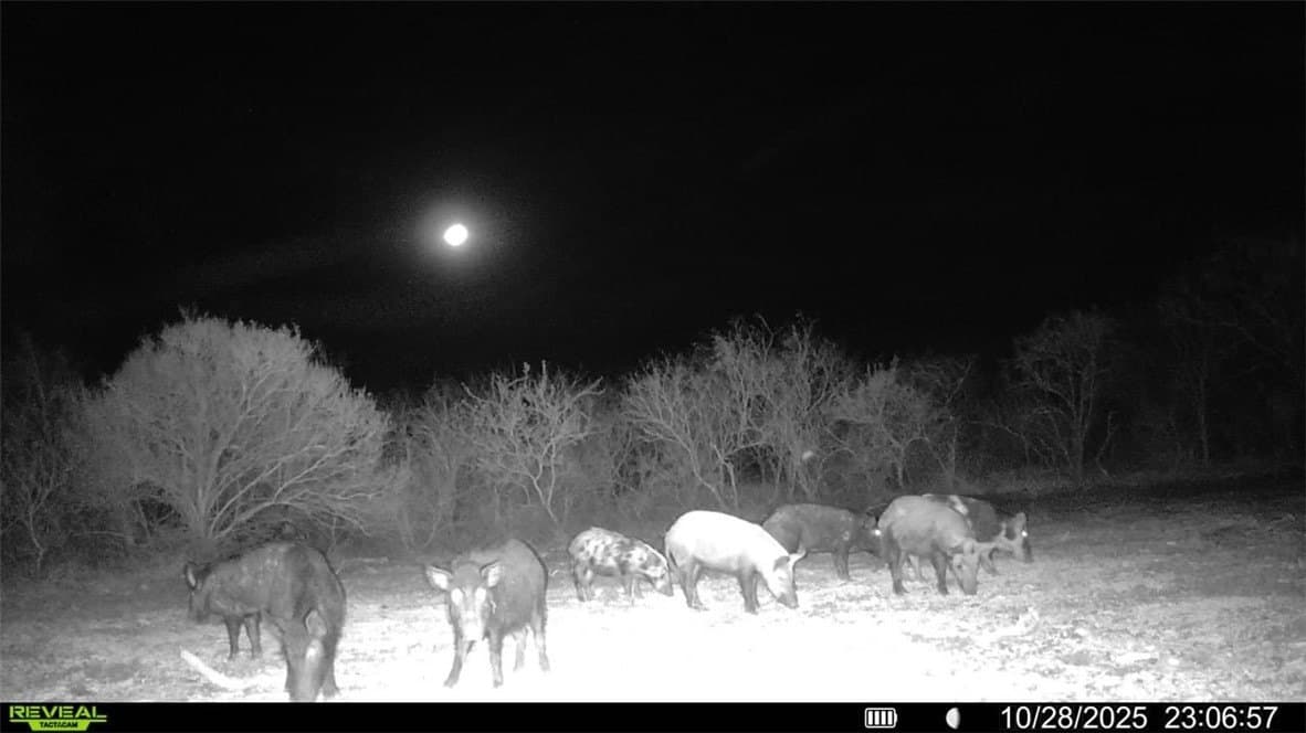 30 acres in Wilson County - photo 19