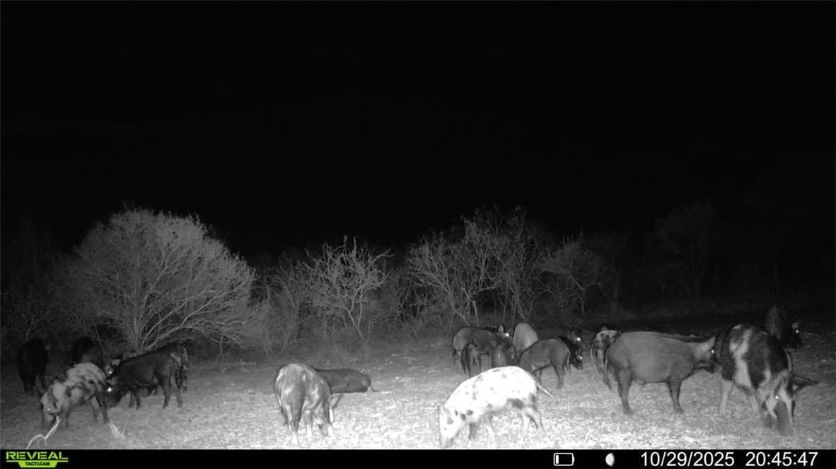 30 acres in Wilson County - photo 14