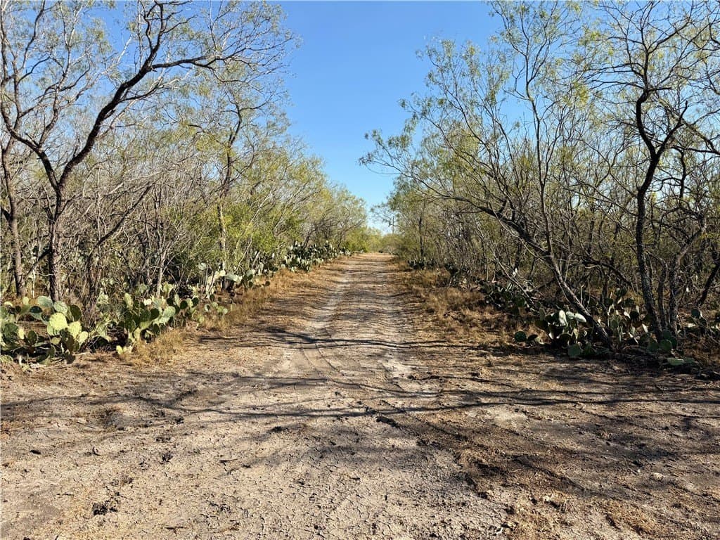 30 acres in Wilson County - photo 5