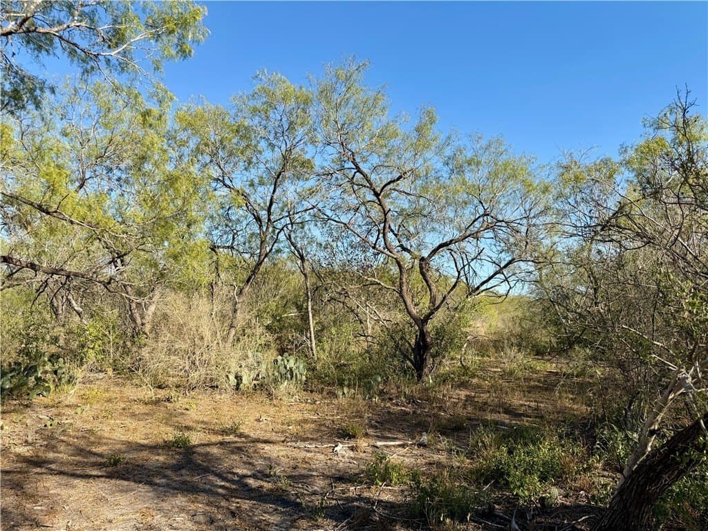 30 acres in Wilson County - photo 30