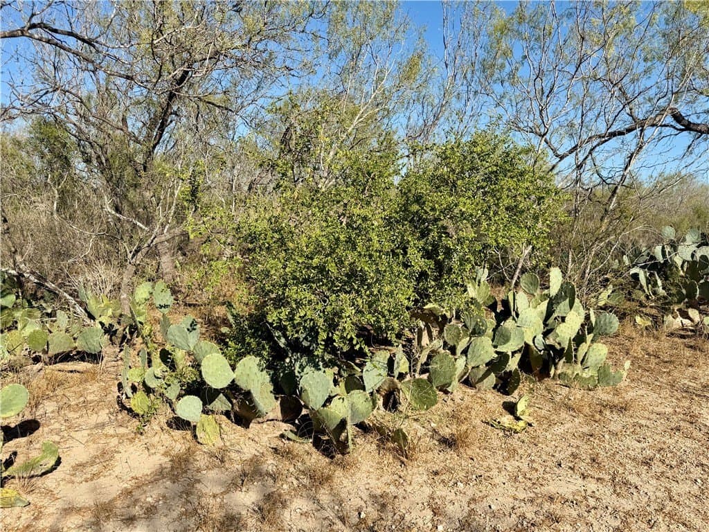 30 acres in Wilson County - photo 8