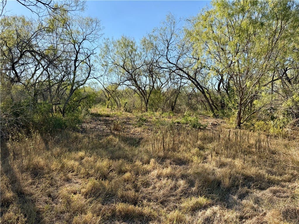 30 acres in Wilson County - photo 20