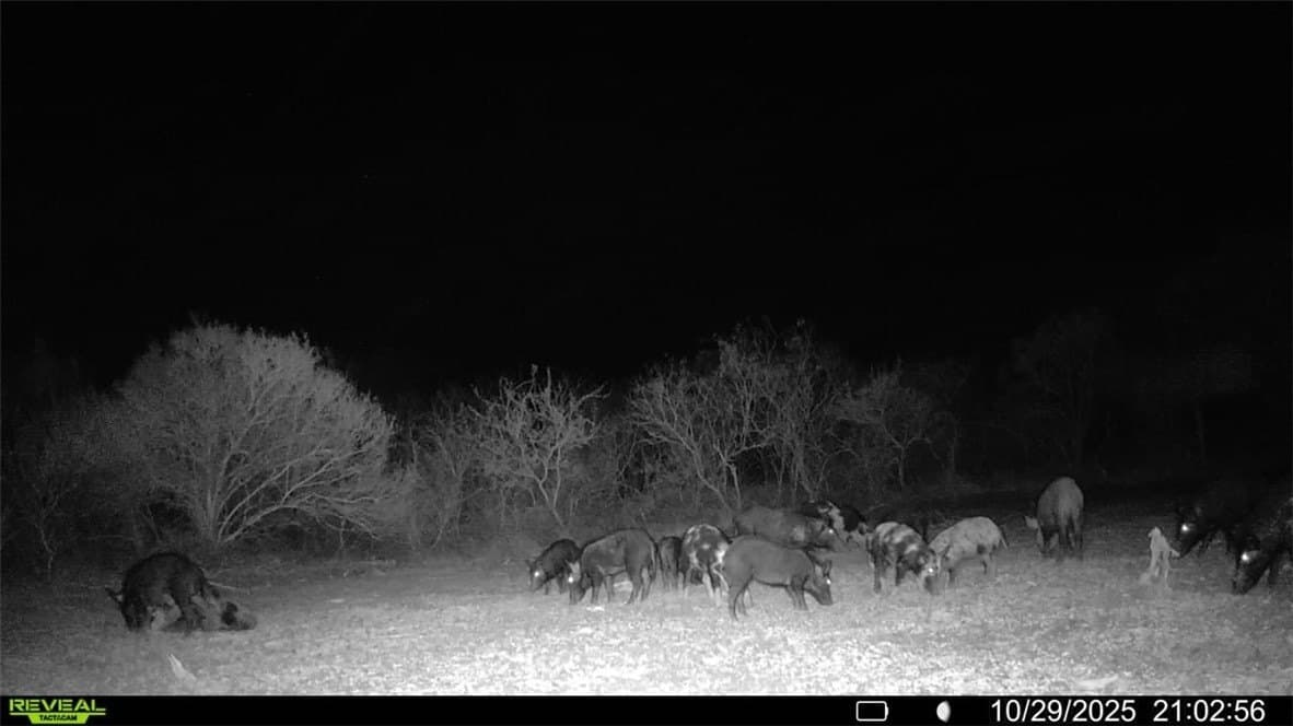 30 acres in Wilson County - photo 34