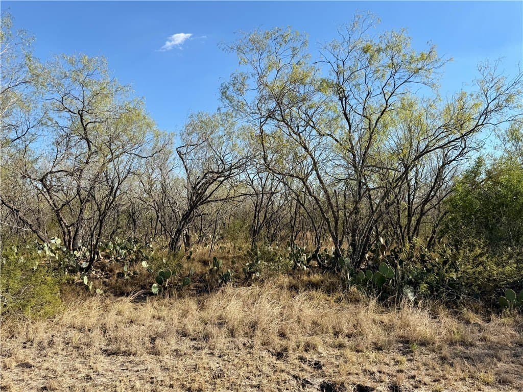 30 acres in Wilson County - photo 3