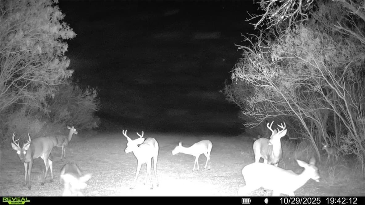 30 acres in Wilson County - photo 27