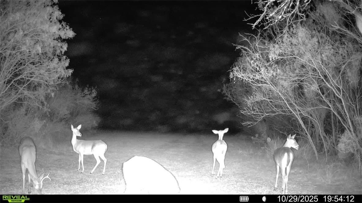 30 acres in Wilson County - photo 12