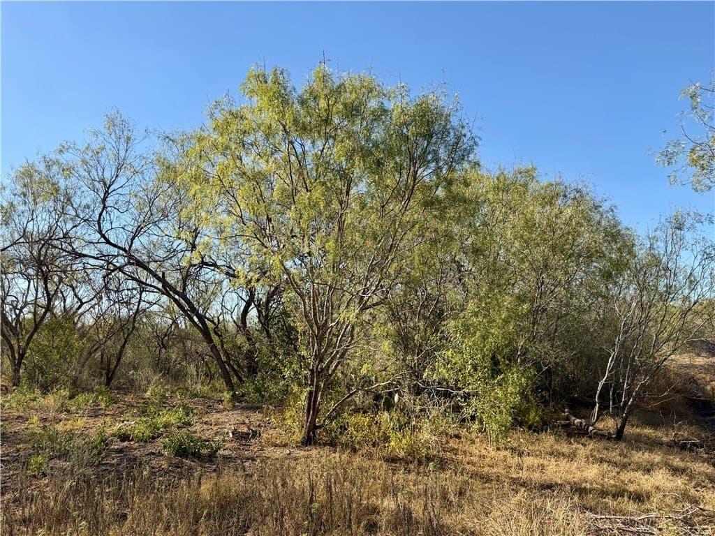 30 acres in Wilson County - photo 21