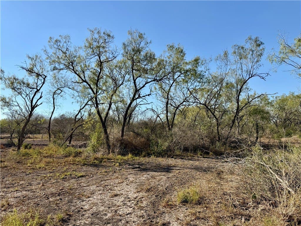 30 acres in Wilson County - photo 25
