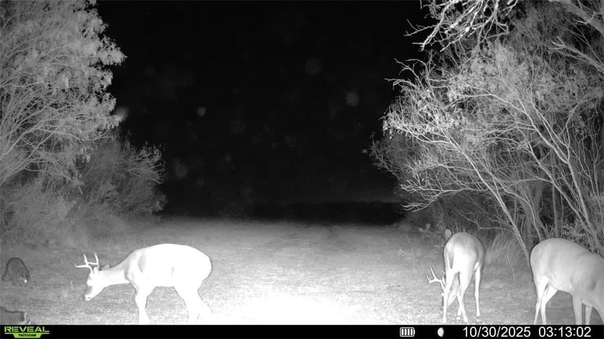 30 acres in Wilson County - photo 17