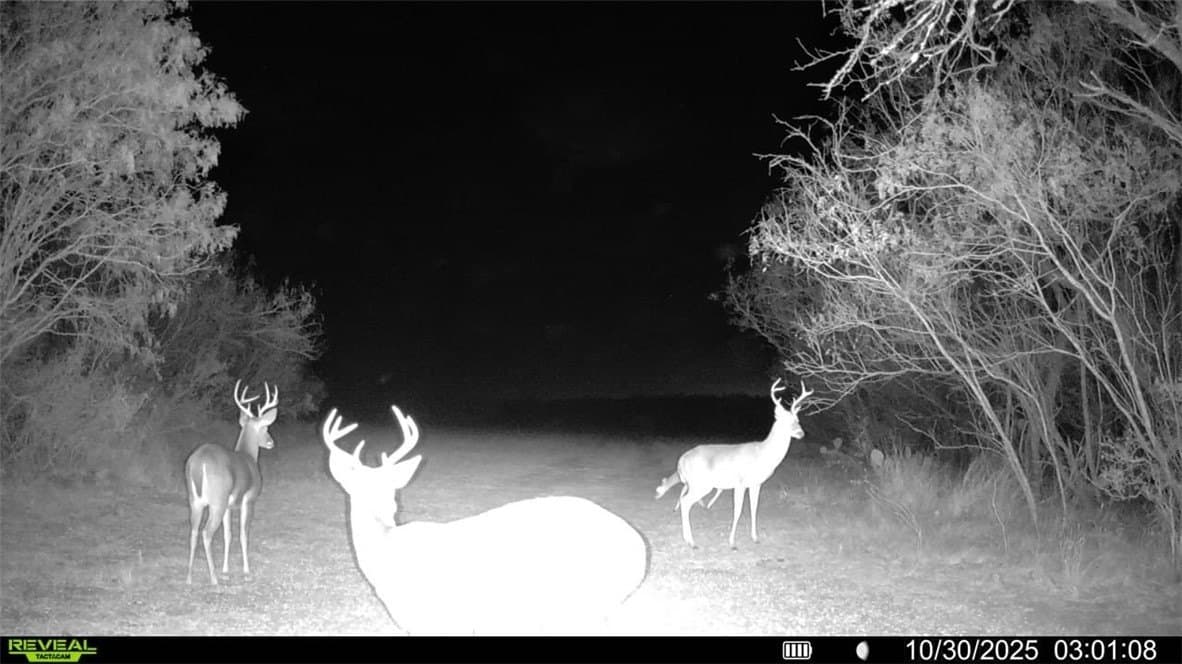 30 acres in Wilson County - photo 2