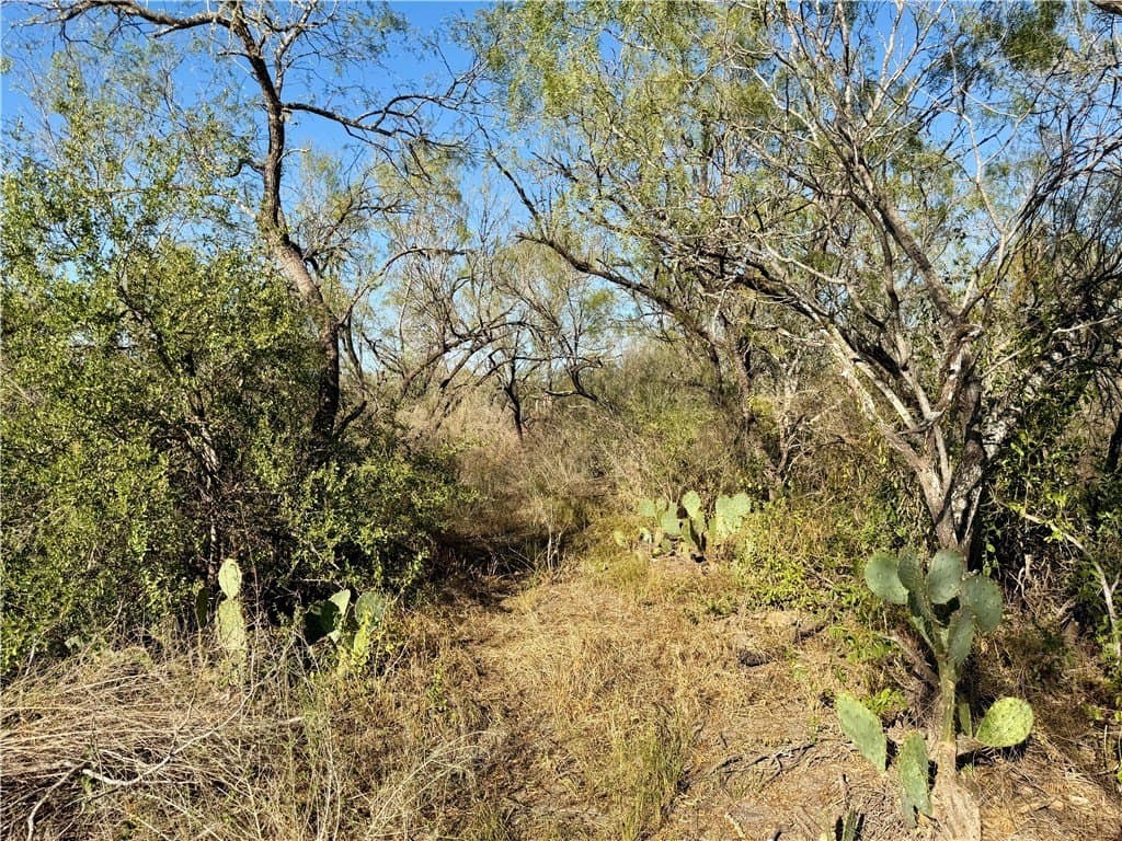 30 acres in Wilson County - photo 26
