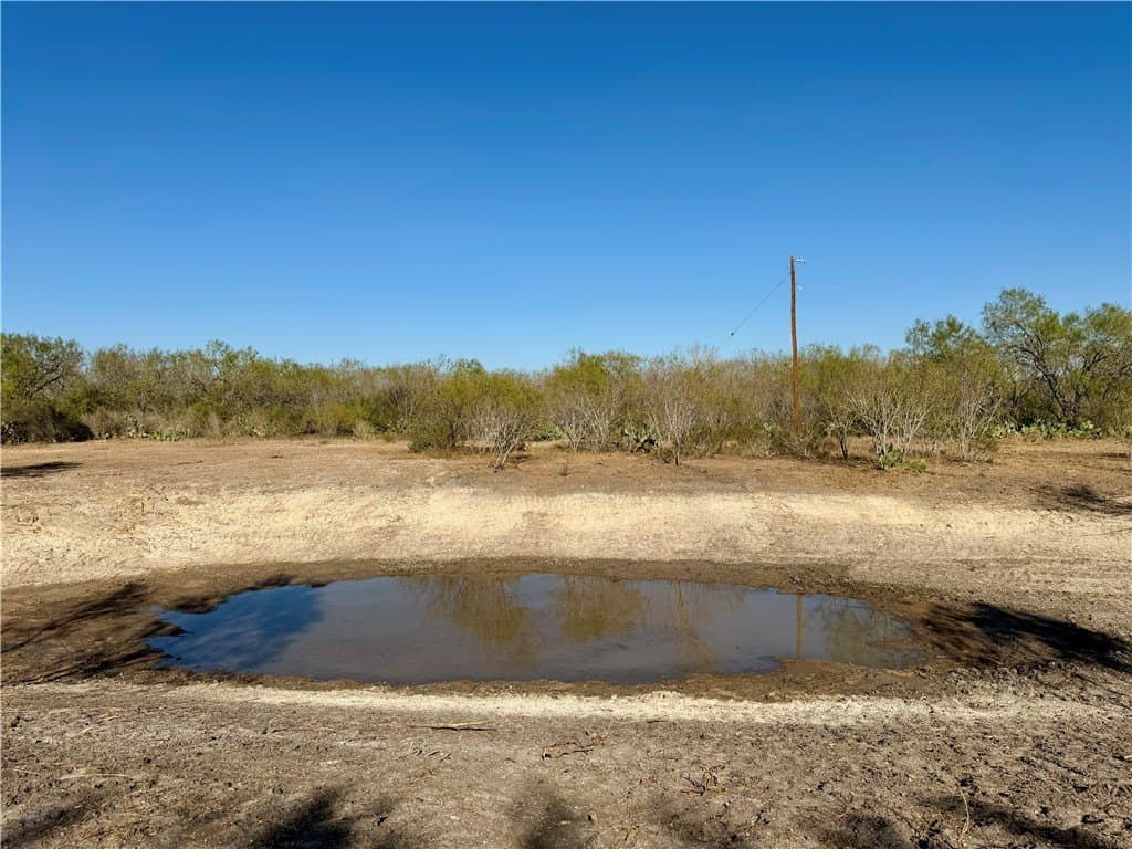 30 acres in Wilson County - photo 6