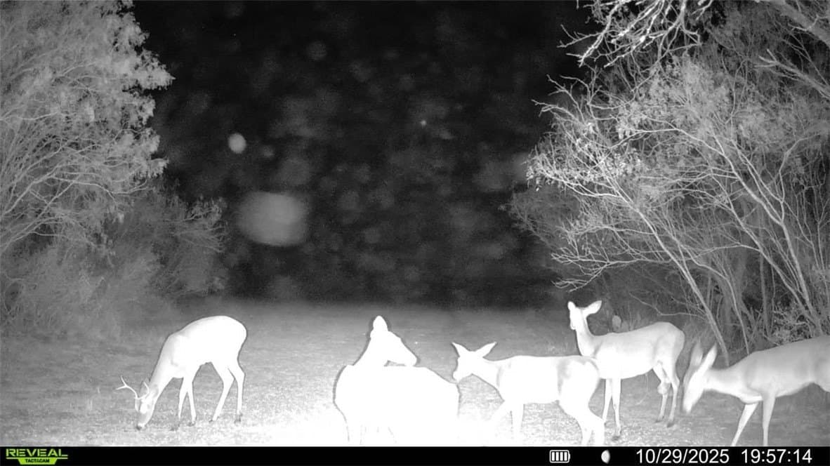 30 acres in Wilson County - photo 7