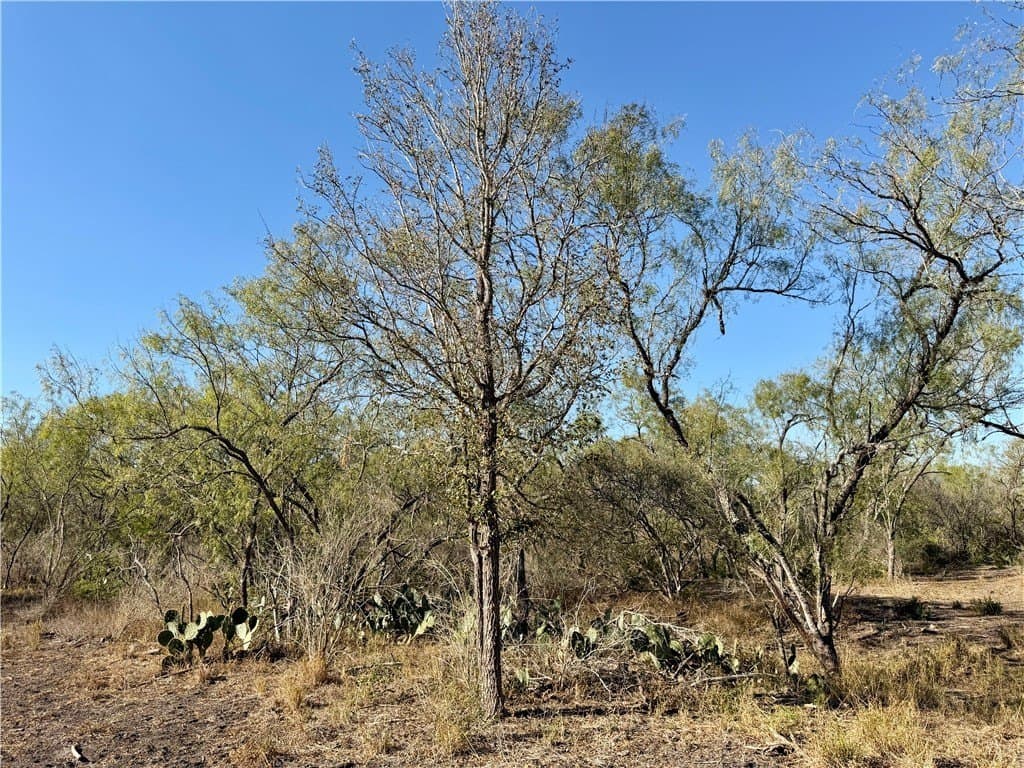 30 acres in Wilson County - photo 23