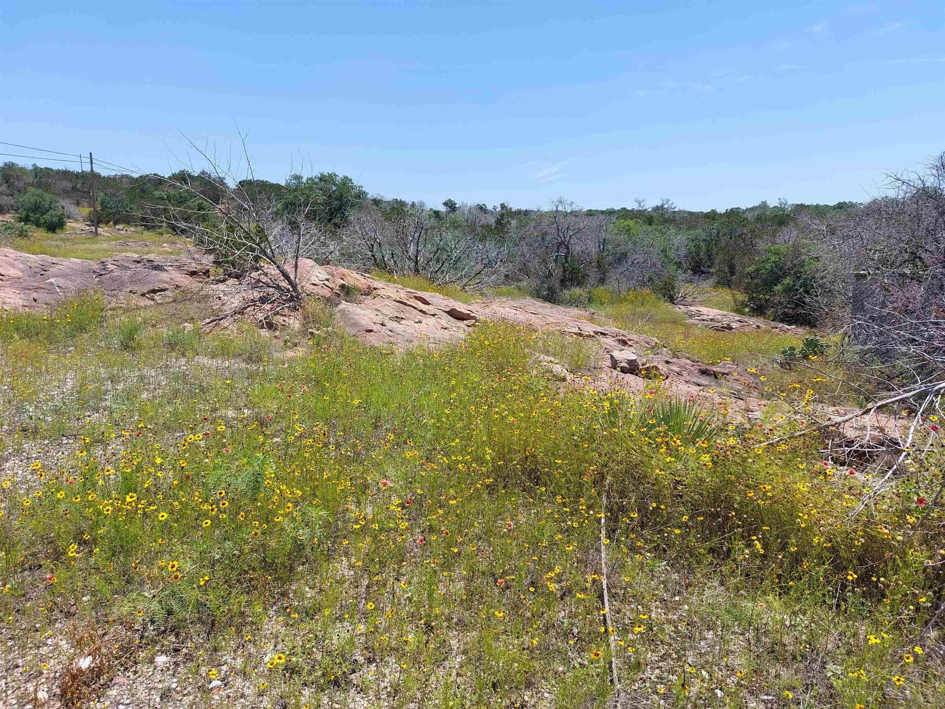 7.55 acres in Burnet County gallery image 4
