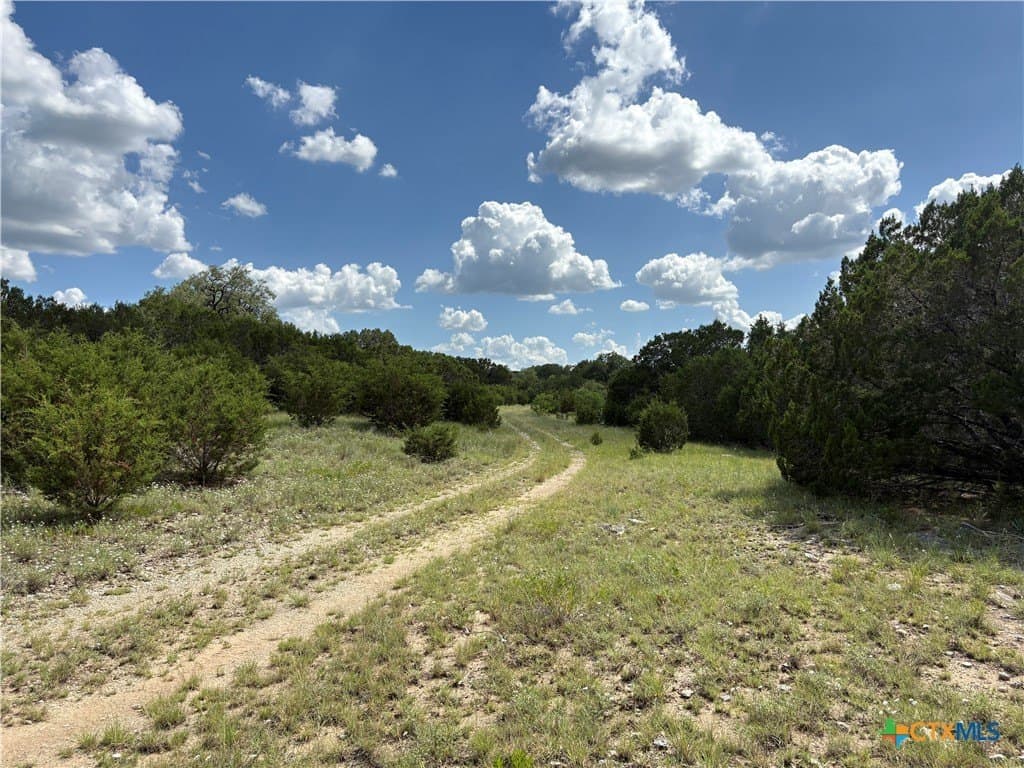 10.01 acres in Coryell County featured view