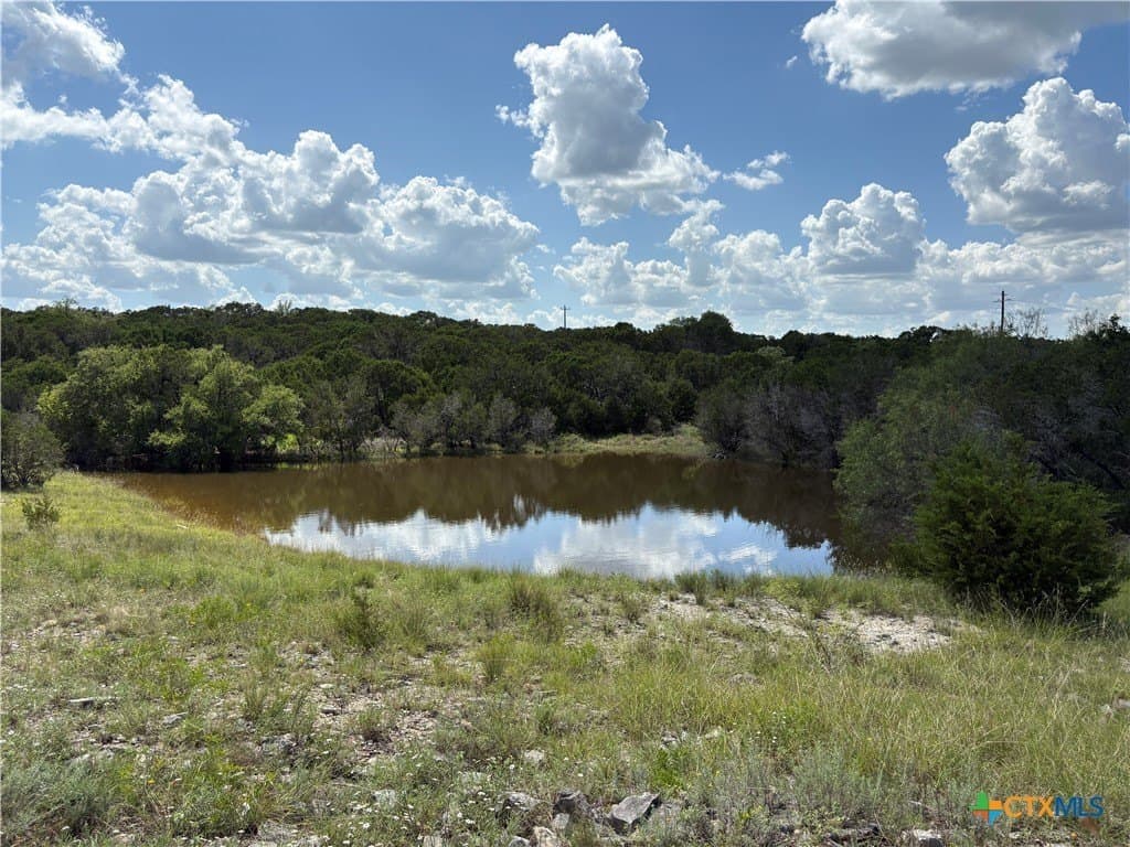 10.01 acres in Coryell County gallery image 3