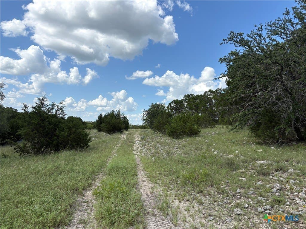 10.01 acres in Coryell County - photo 6