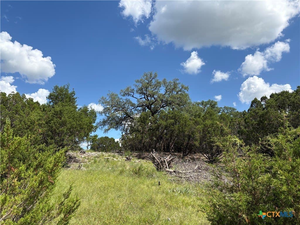 10.01 acres in Coryell County gallery image 4