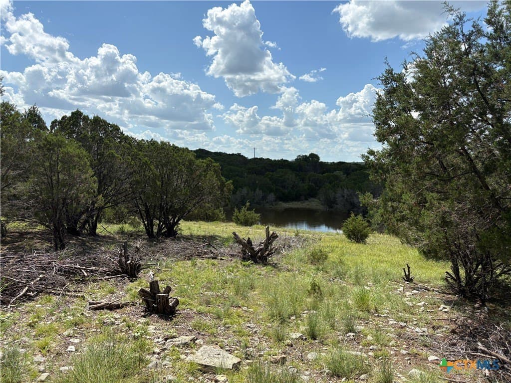 10.01 acres in Coryell County gallery image 2
