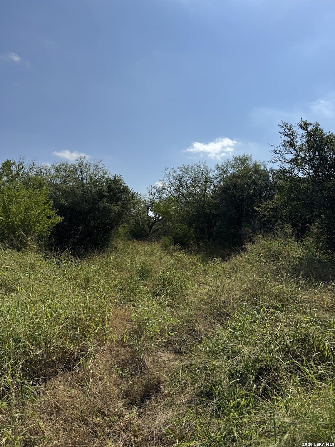 22.2 acres in Bexar County - photo 21
