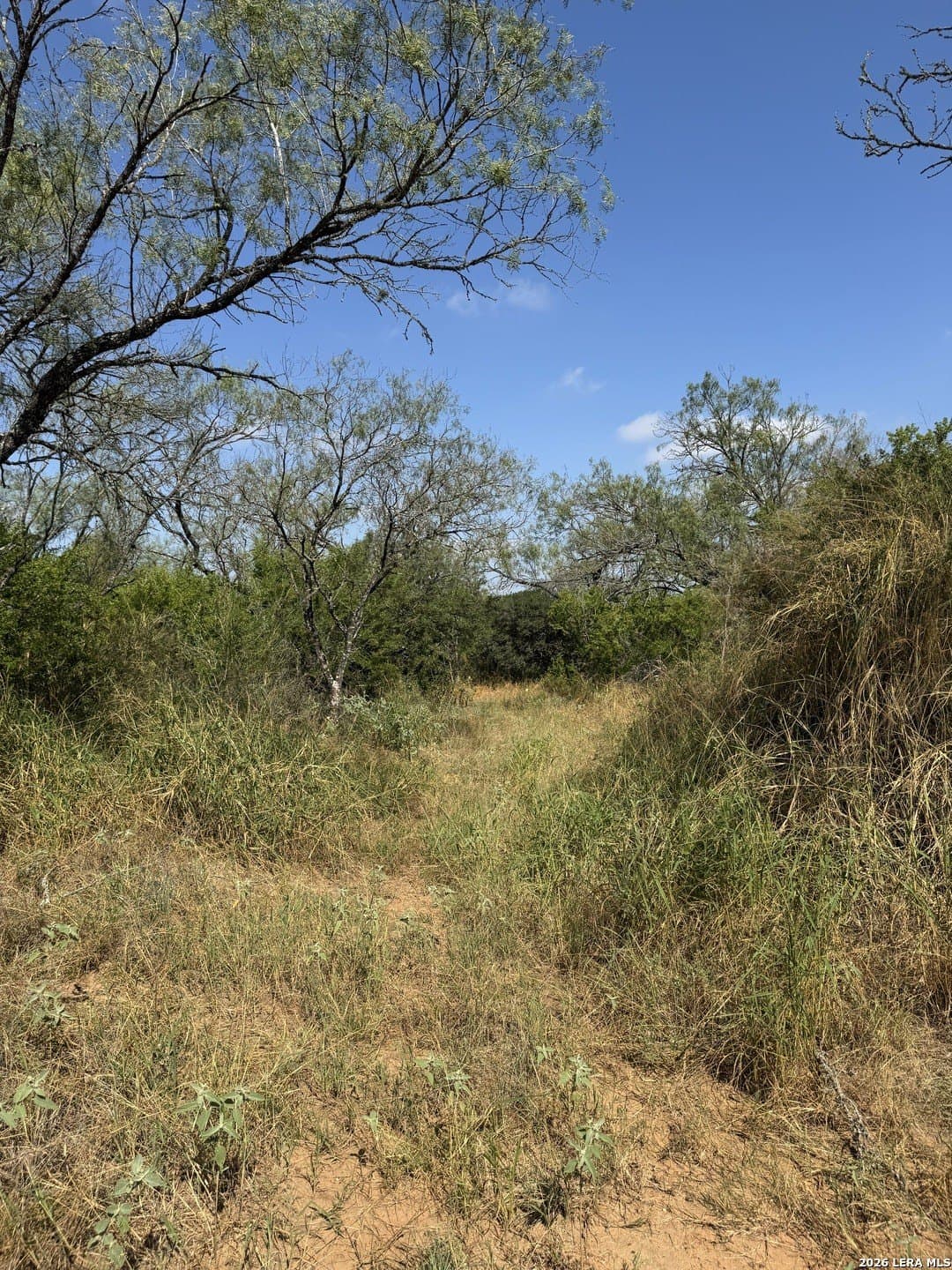 22.2 acres in Bexar County - photo 24
