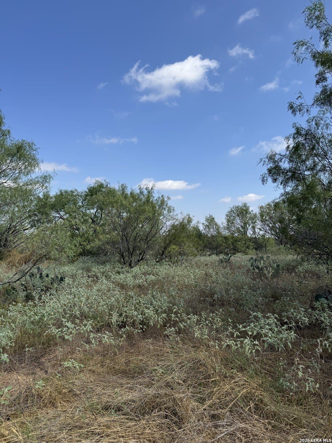 22.2 acres in Bexar County - photo 27