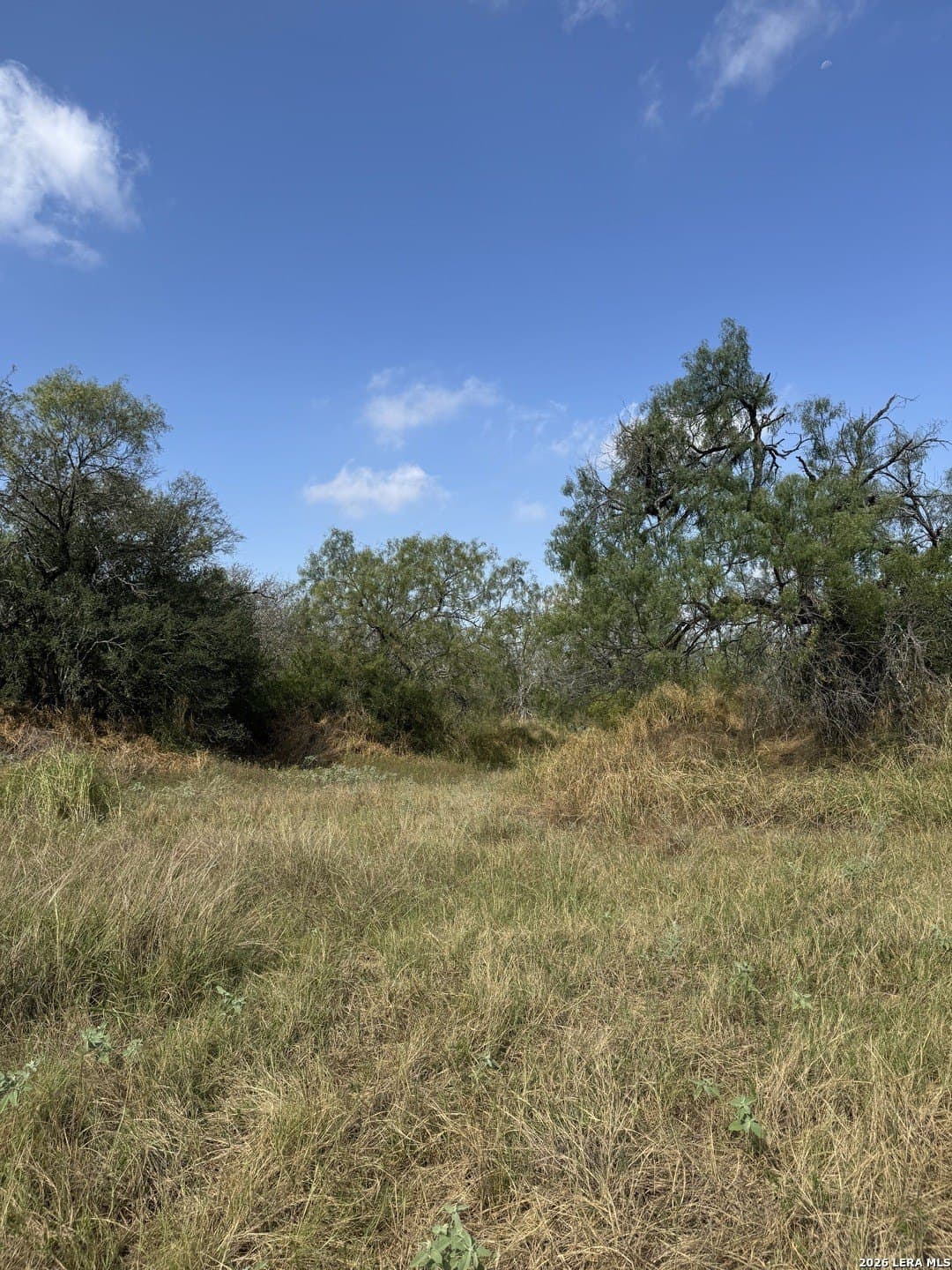 22.2 acres in Bexar County - photo 26