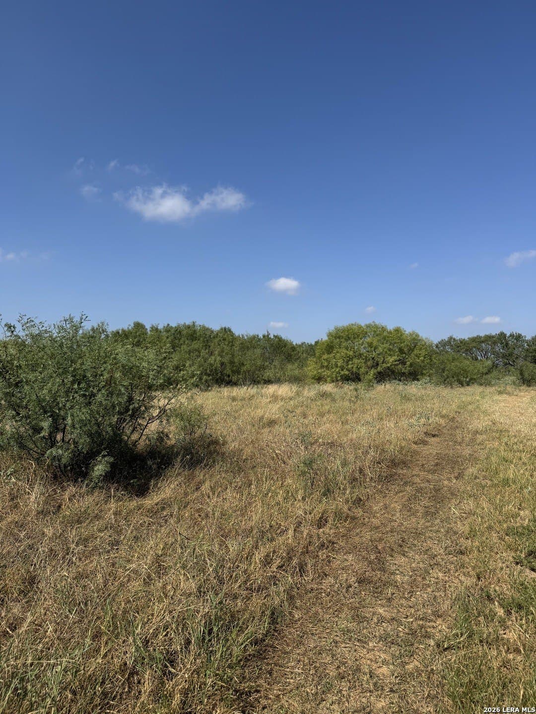 22.2 acres in Bexar County - photo 20