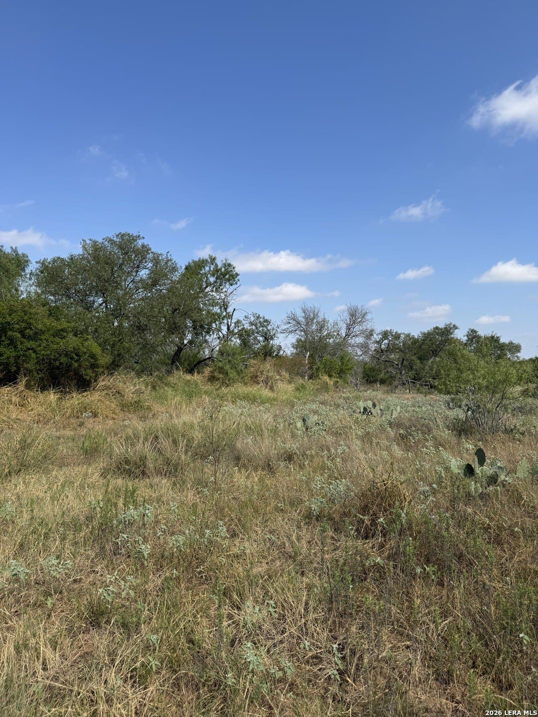 22.2 acres in Bexar County - photo 25