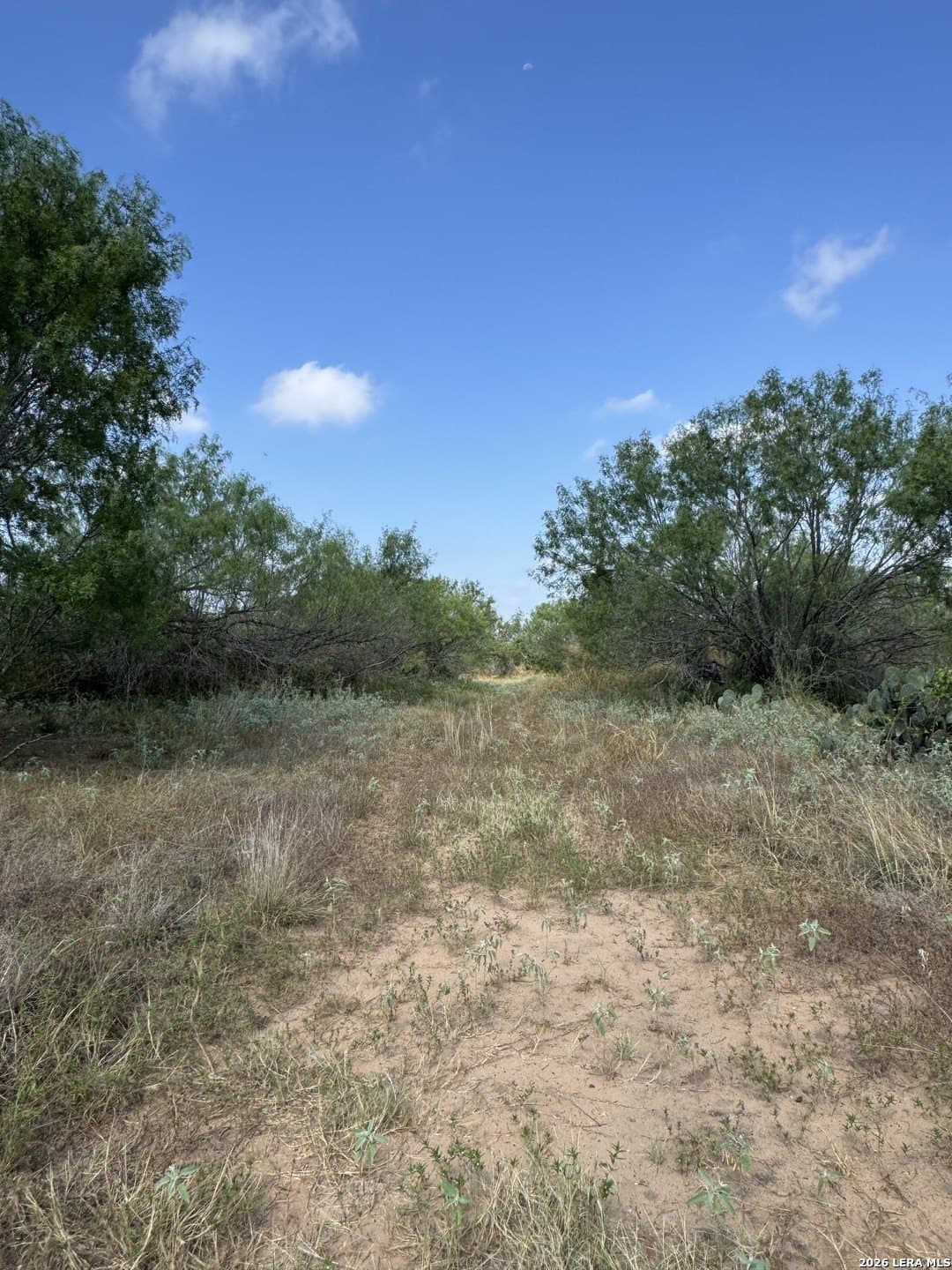 22.2 acres in Bexar County - photo 18