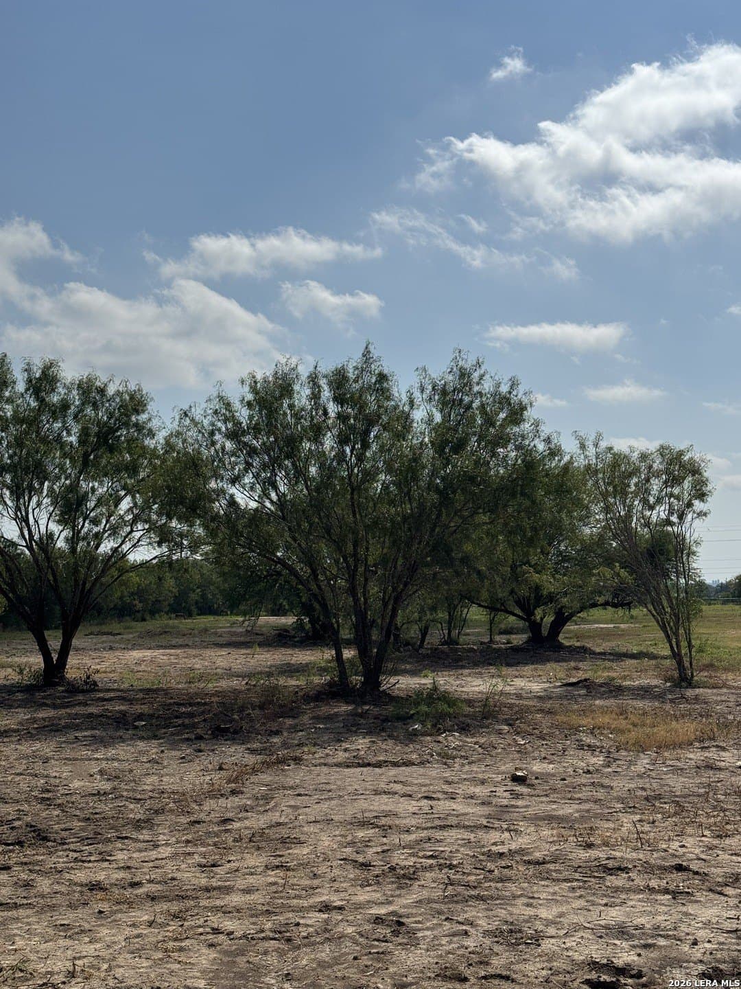 22.2 acres in Bexar County - photo 11