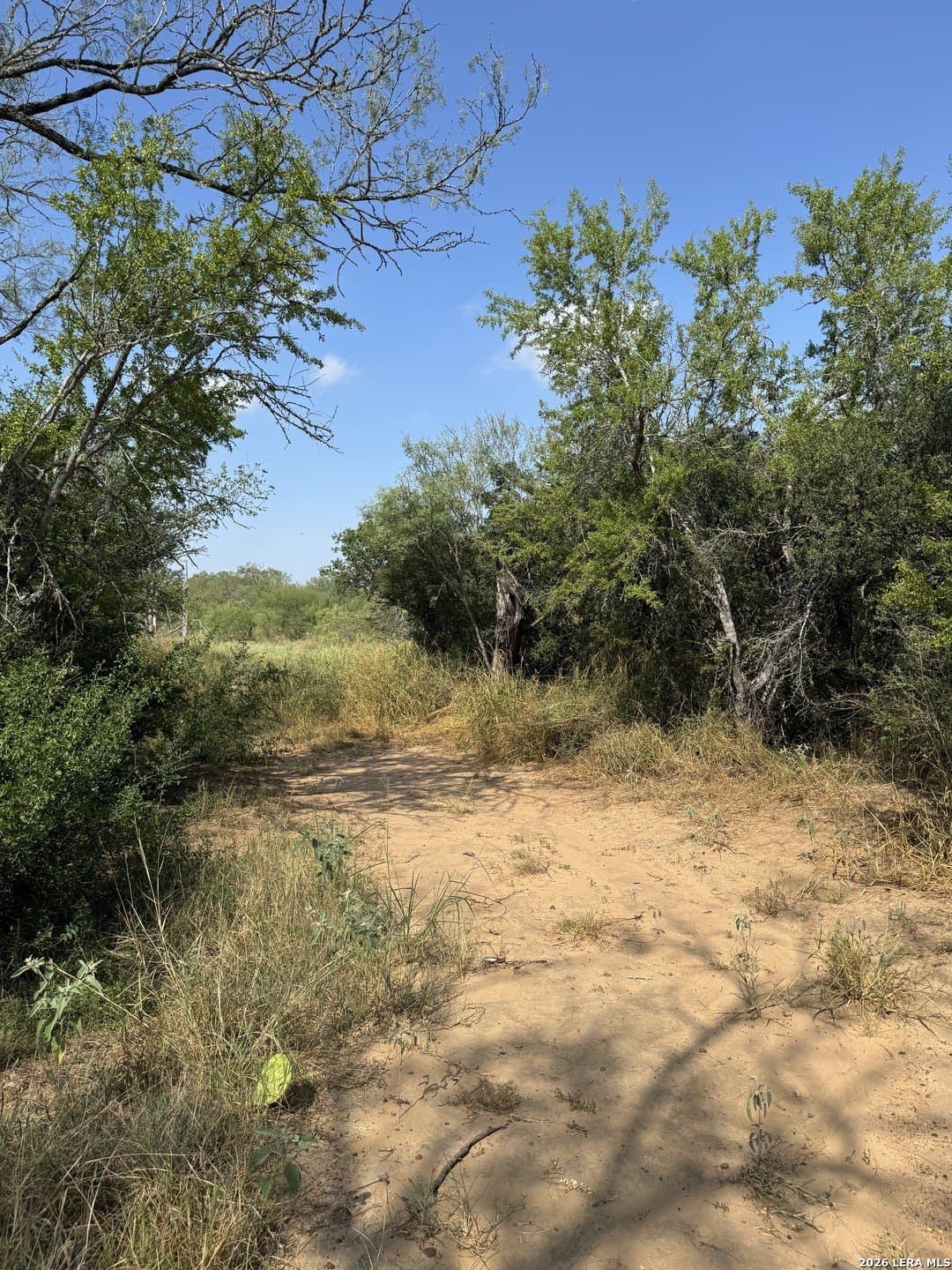 22.2 acres in Bexar County - photo 23