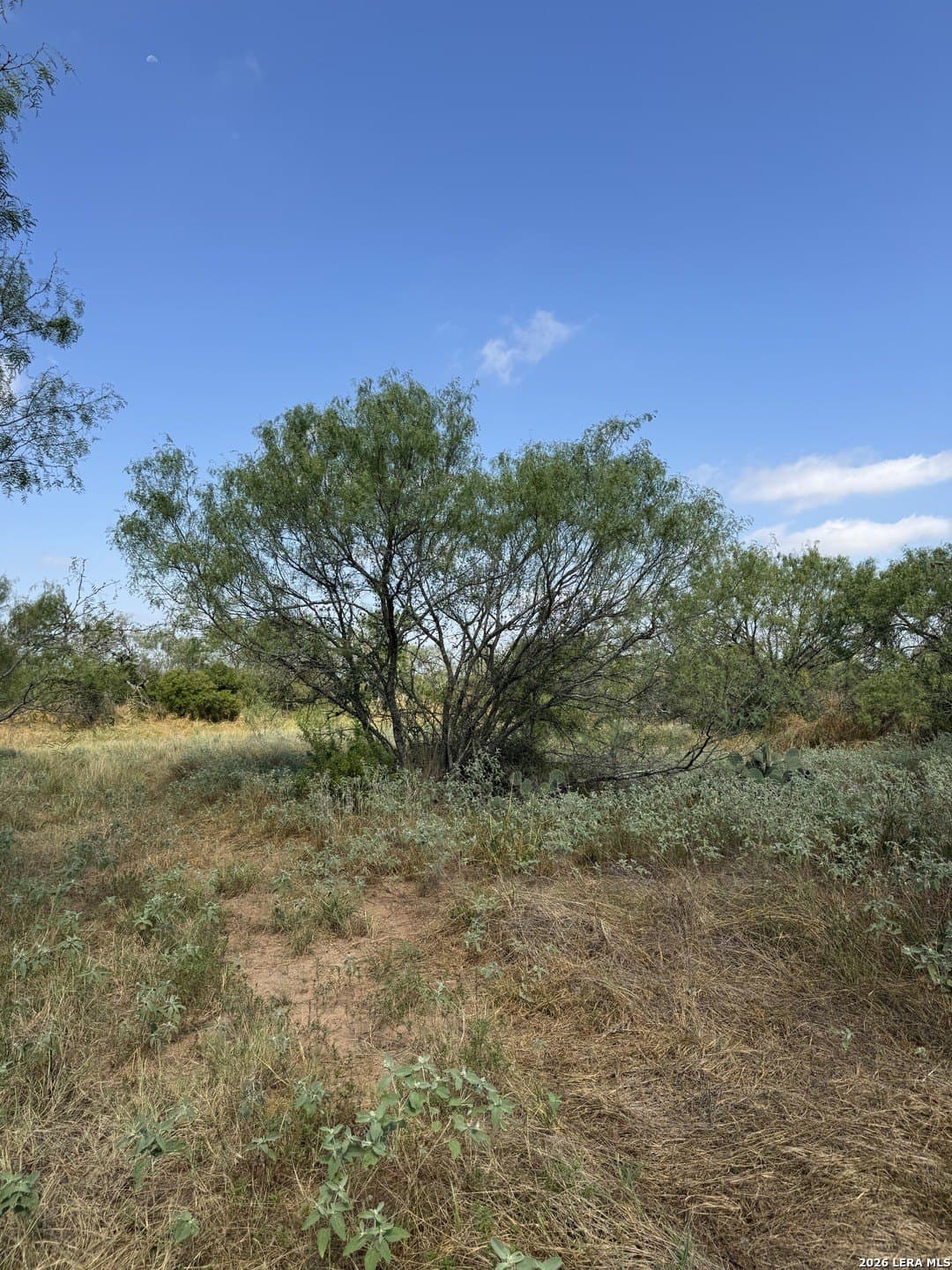 22.2 acres in Bexar County - photo 19