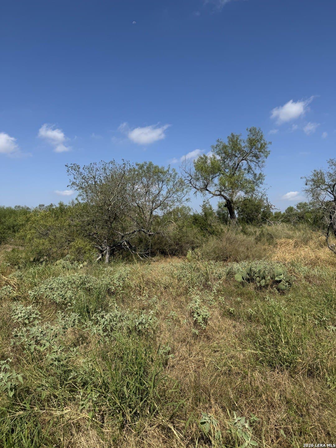22.2 acres in Bexar County - photo 22