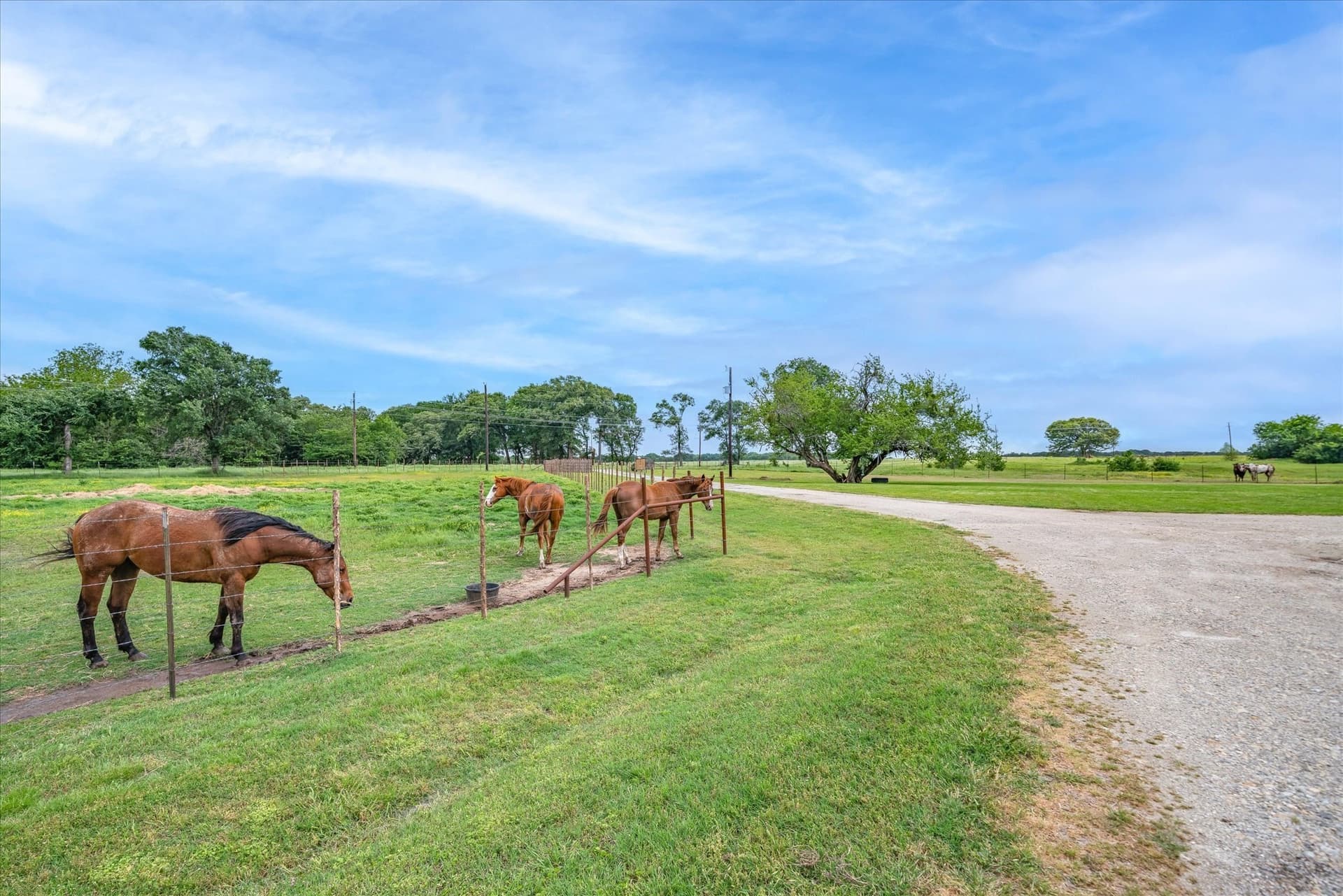 26.41 acres in Van Zandt County gallery image 2