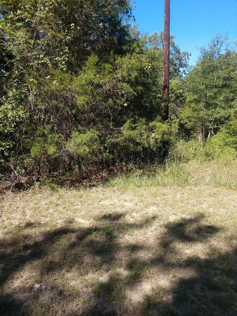 0.35 acres in Henderson County - photo 7