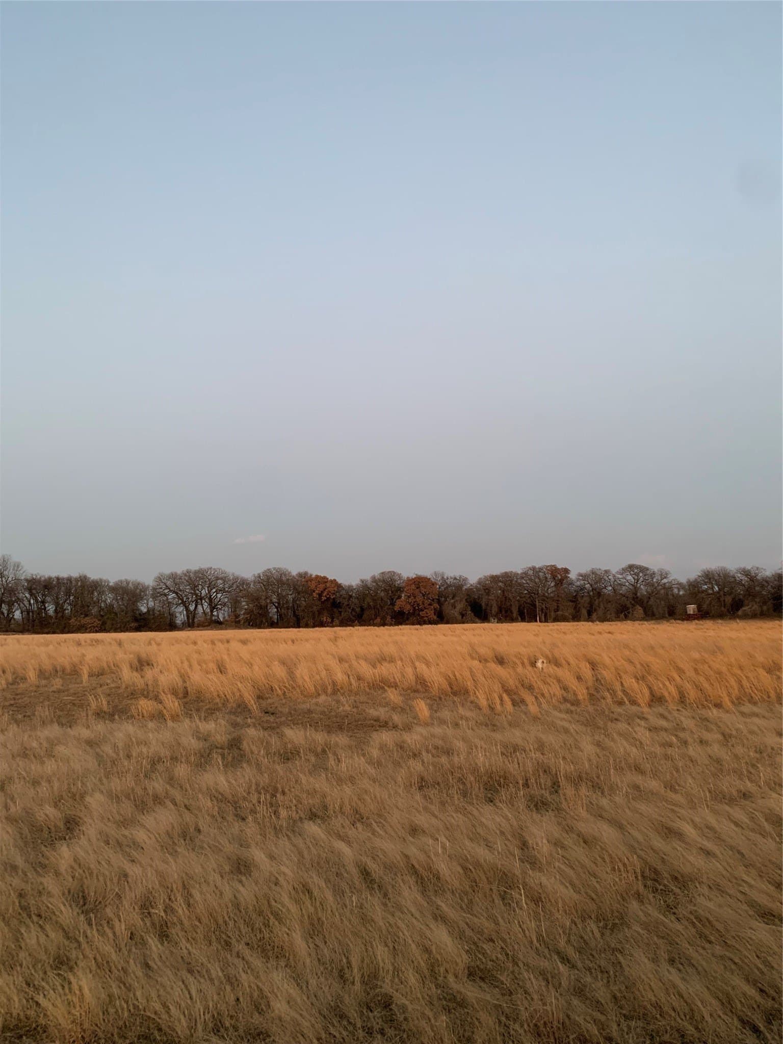 16 acres in Hill County
