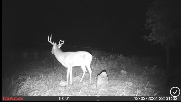 16 acres in Hill County - photo 8