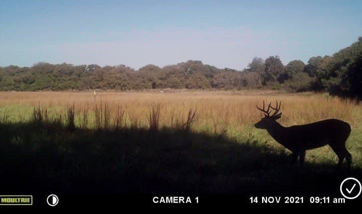 16 acres in Hill County - photo 7