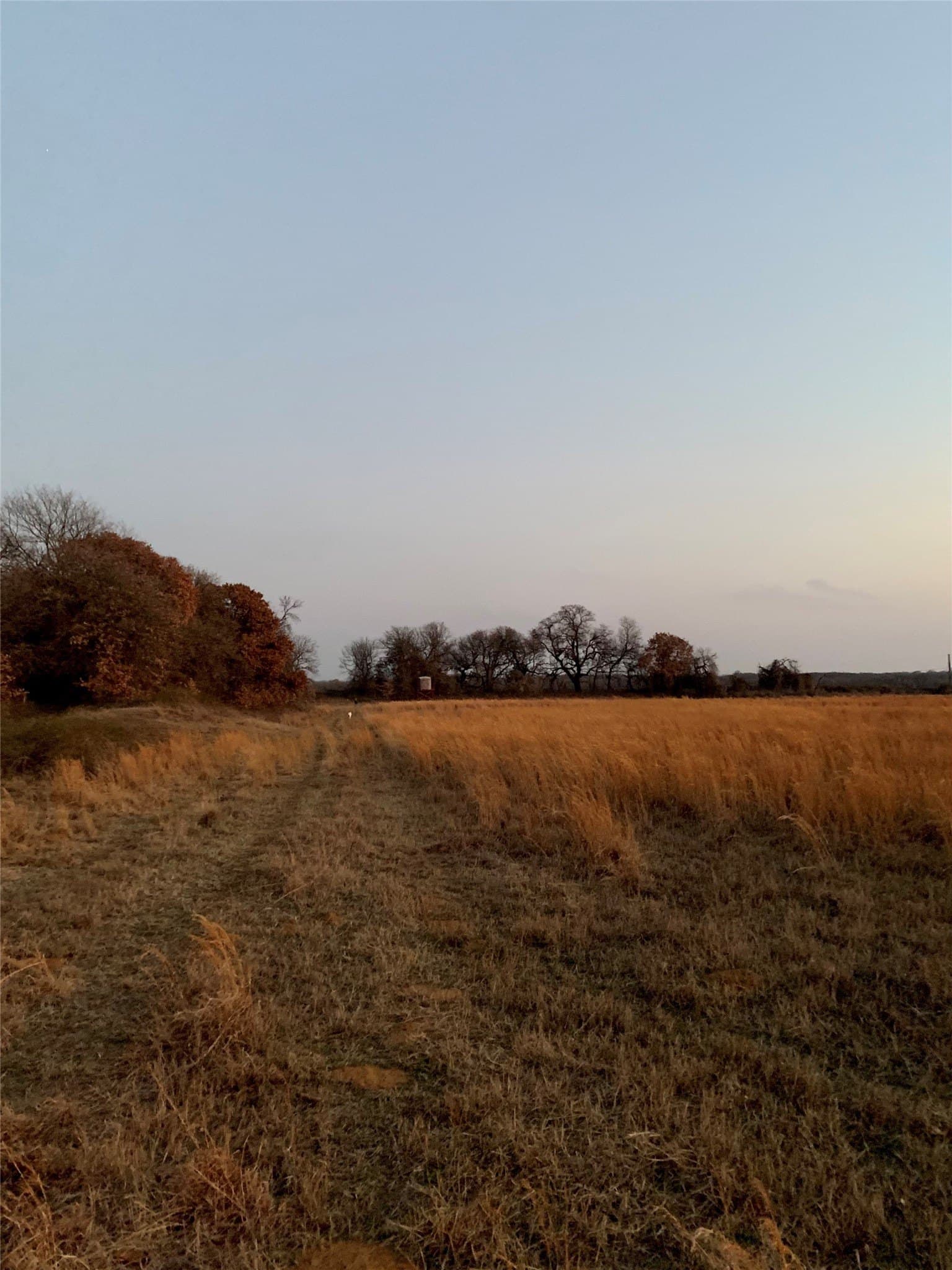 16 acres in Hill County - photo 2
