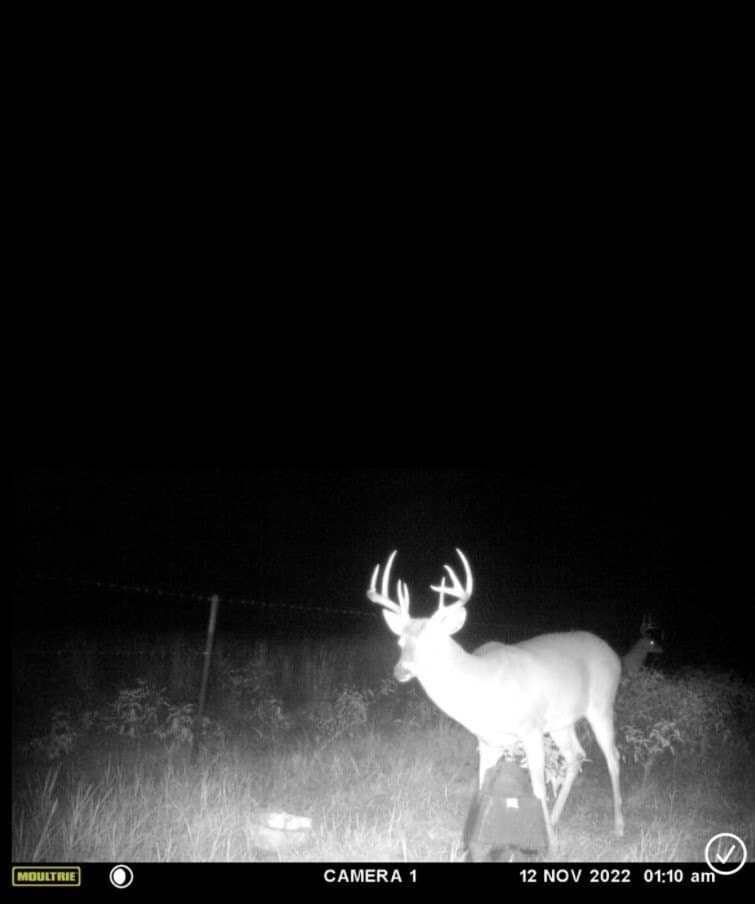16 acres in Hill County - photo 9