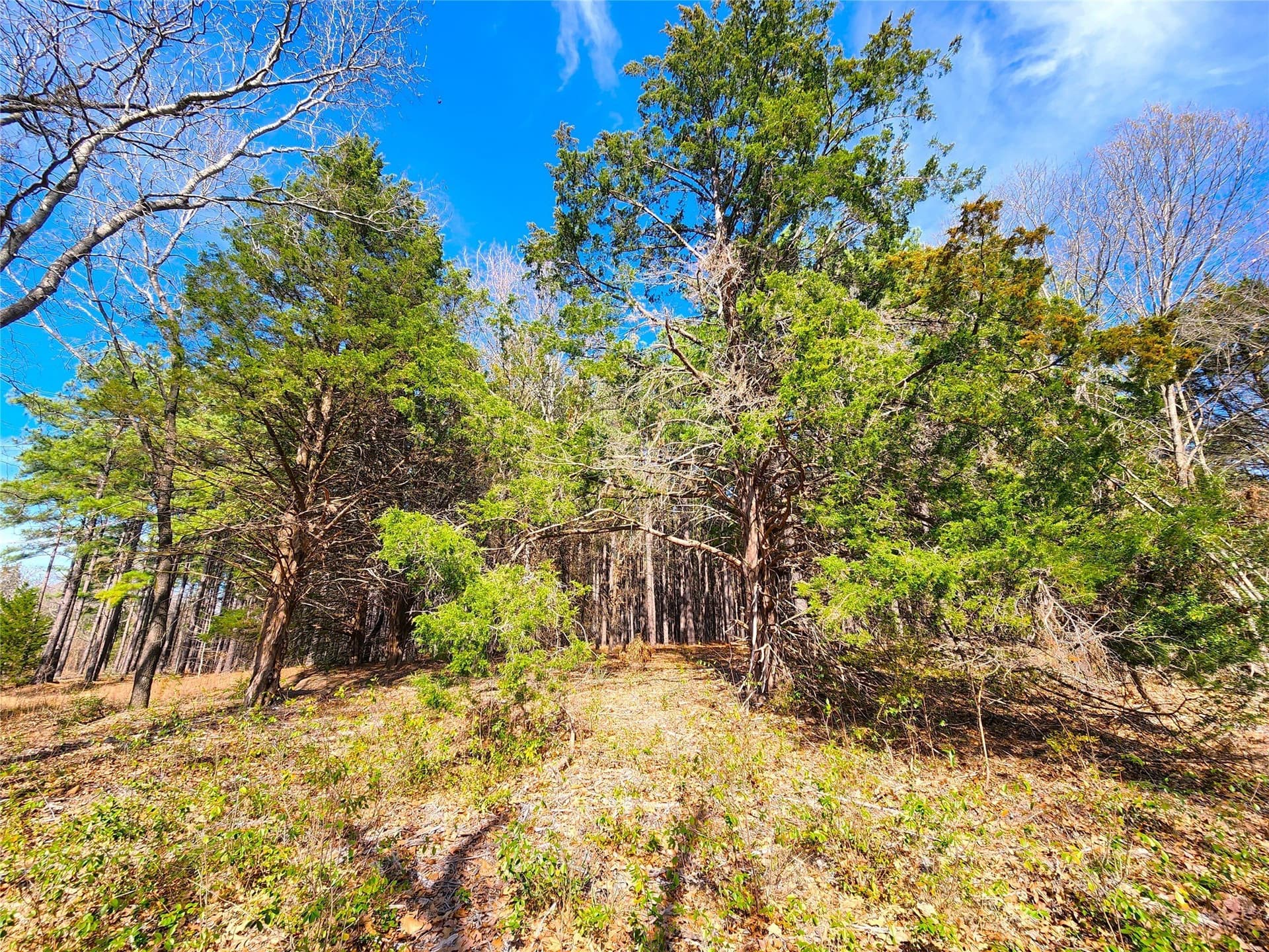 5.6 acres in Henderson County - photo 35